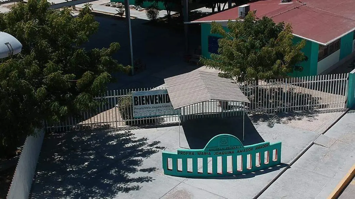 EDUCACION 1