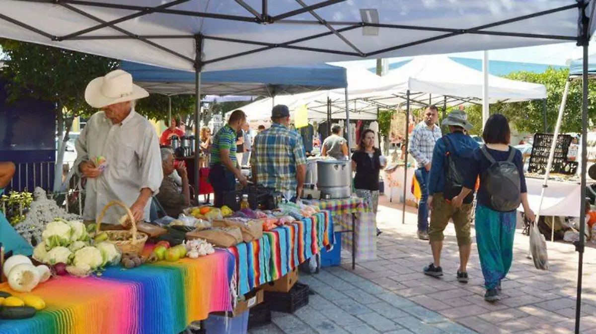 Mercado Orgánico y Artesanal