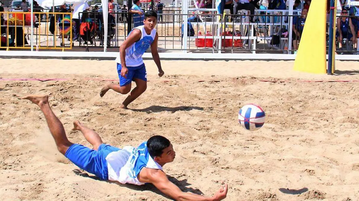 Voleibol