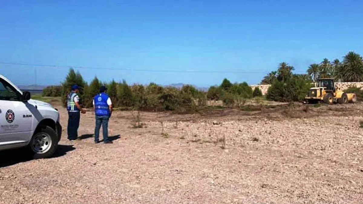 PERSONAL DE LA DIRECCION DE...