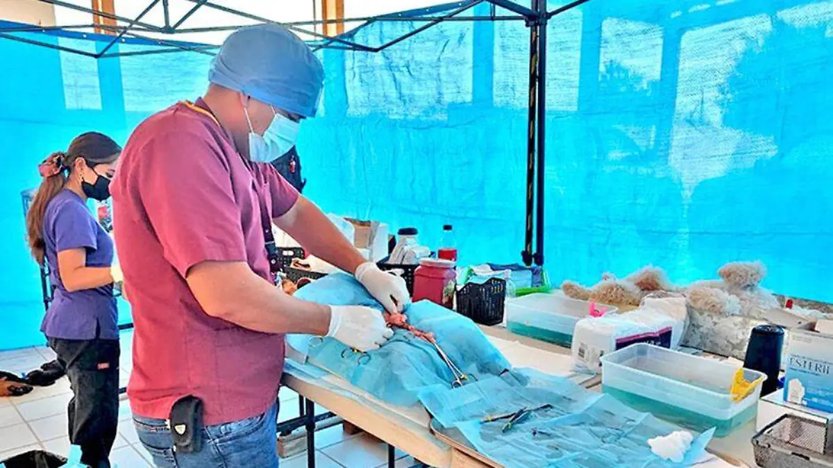 2d850794-fcf5-4af5-ad07-aa15ad44305e