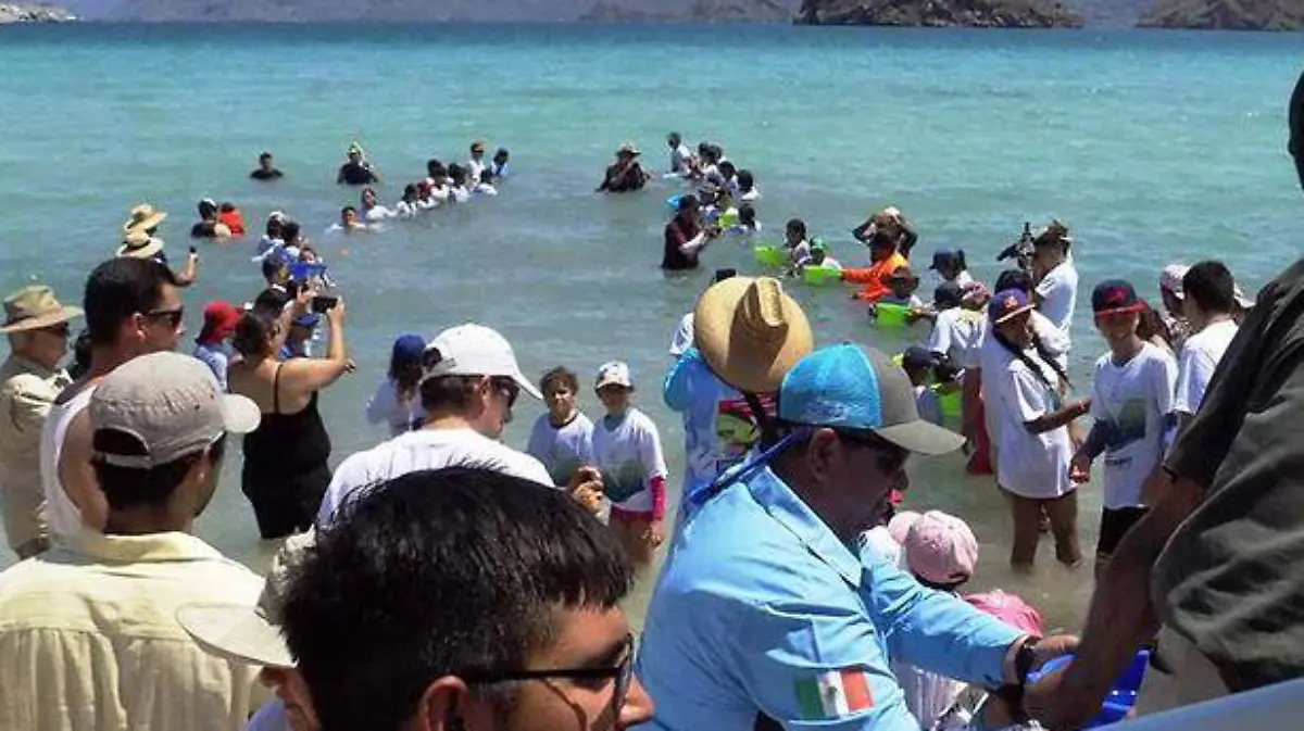 40 MIL CRIAS DE TOTOABA...