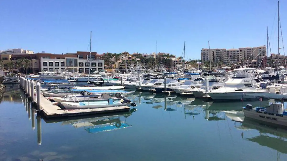 Marina Los Cabos