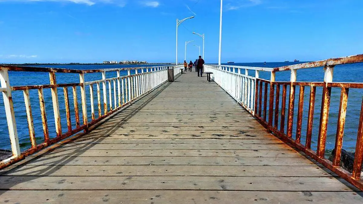 muelle reyna2