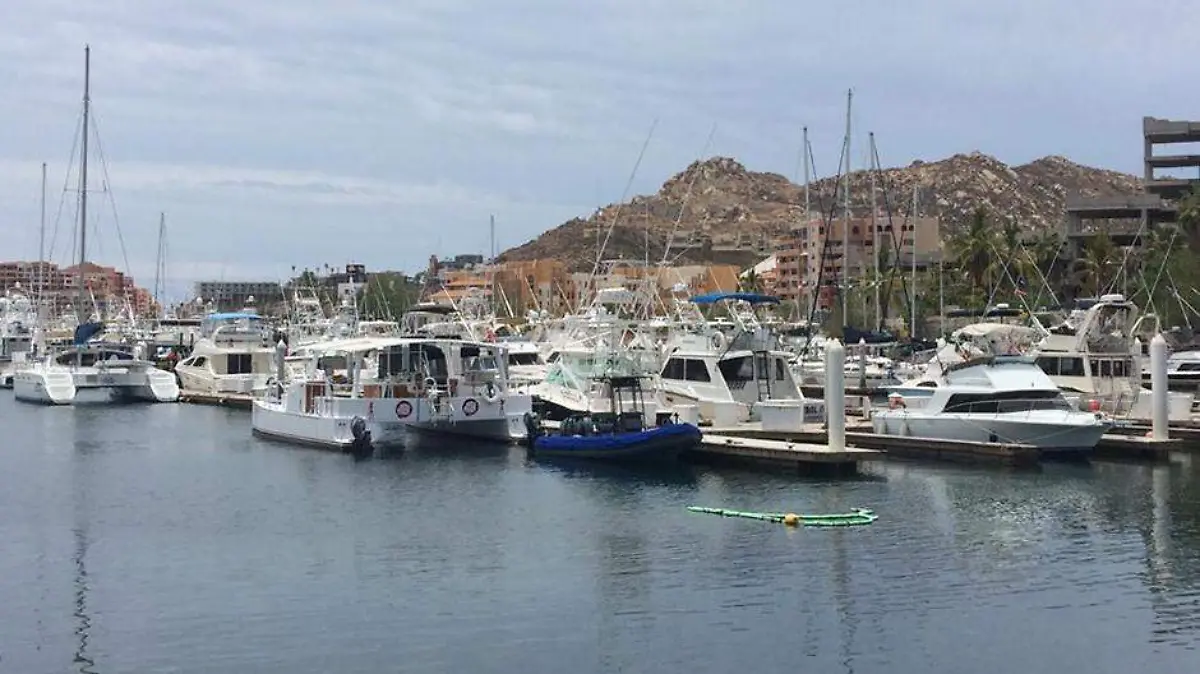 Puerto de Los Cabos