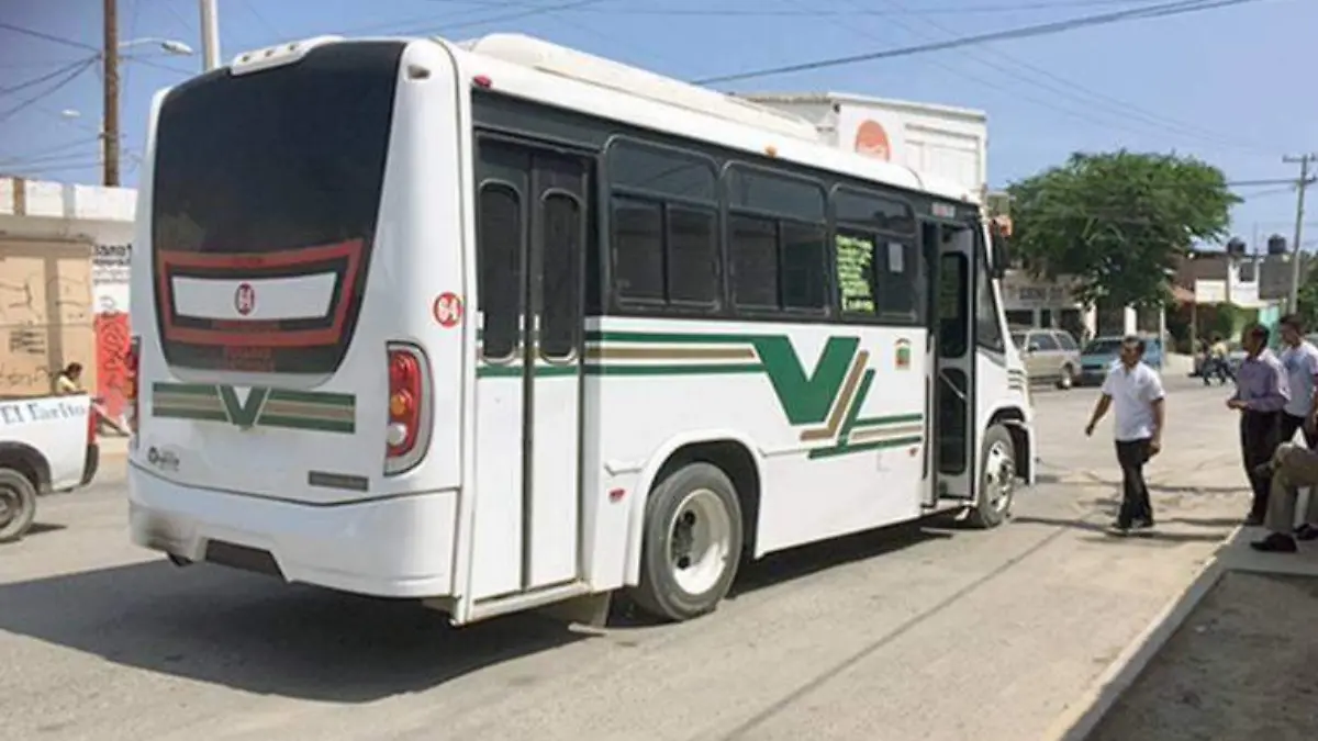 Transporte Camión Los Cabos