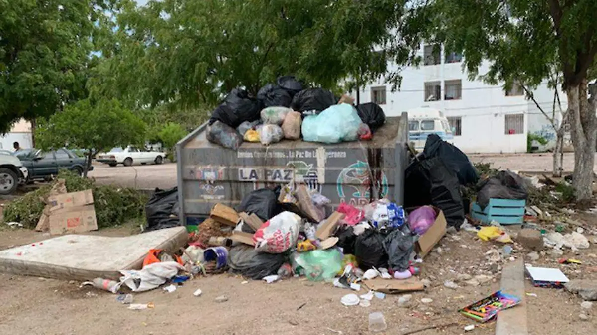 BASURA 2