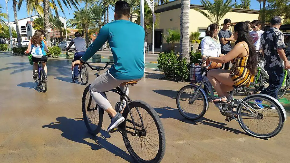 BICIS