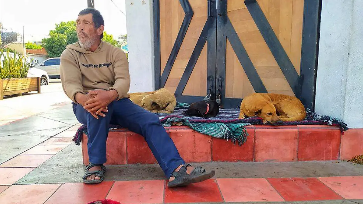 COVID19- EN MASCOTAS 3