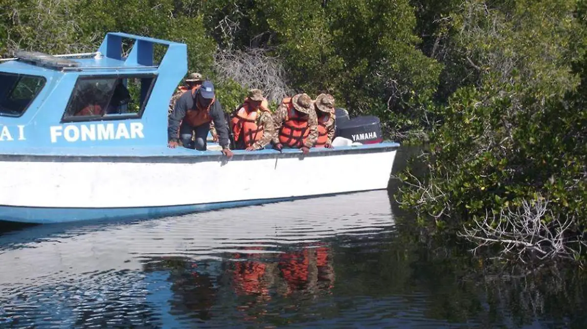 INSPECCIÓN Y VIGILANCIA