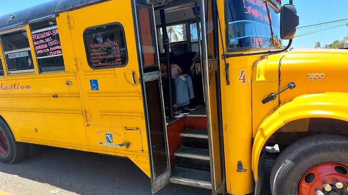 TRANSPORTE PUBLICO 1