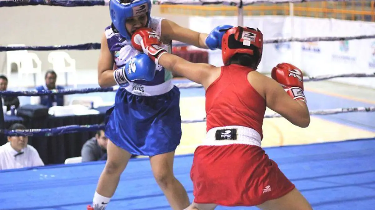 Boxeo