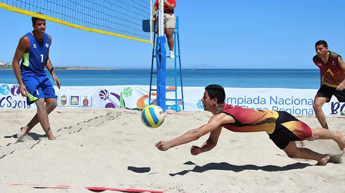Voleibol