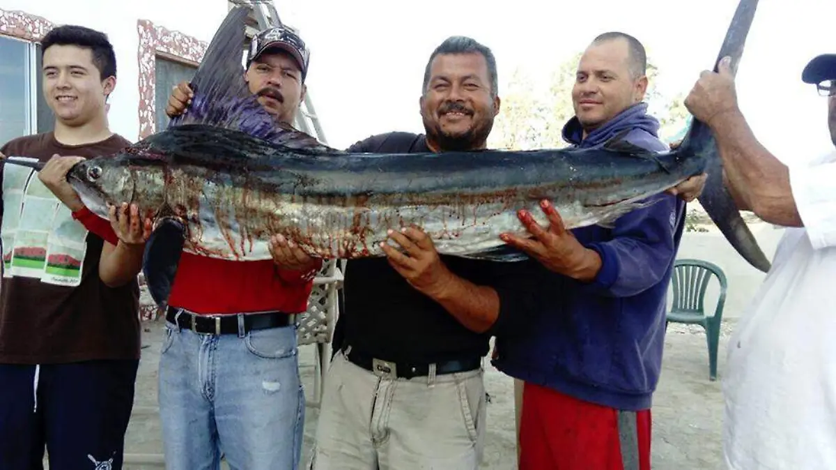 Pesca 1