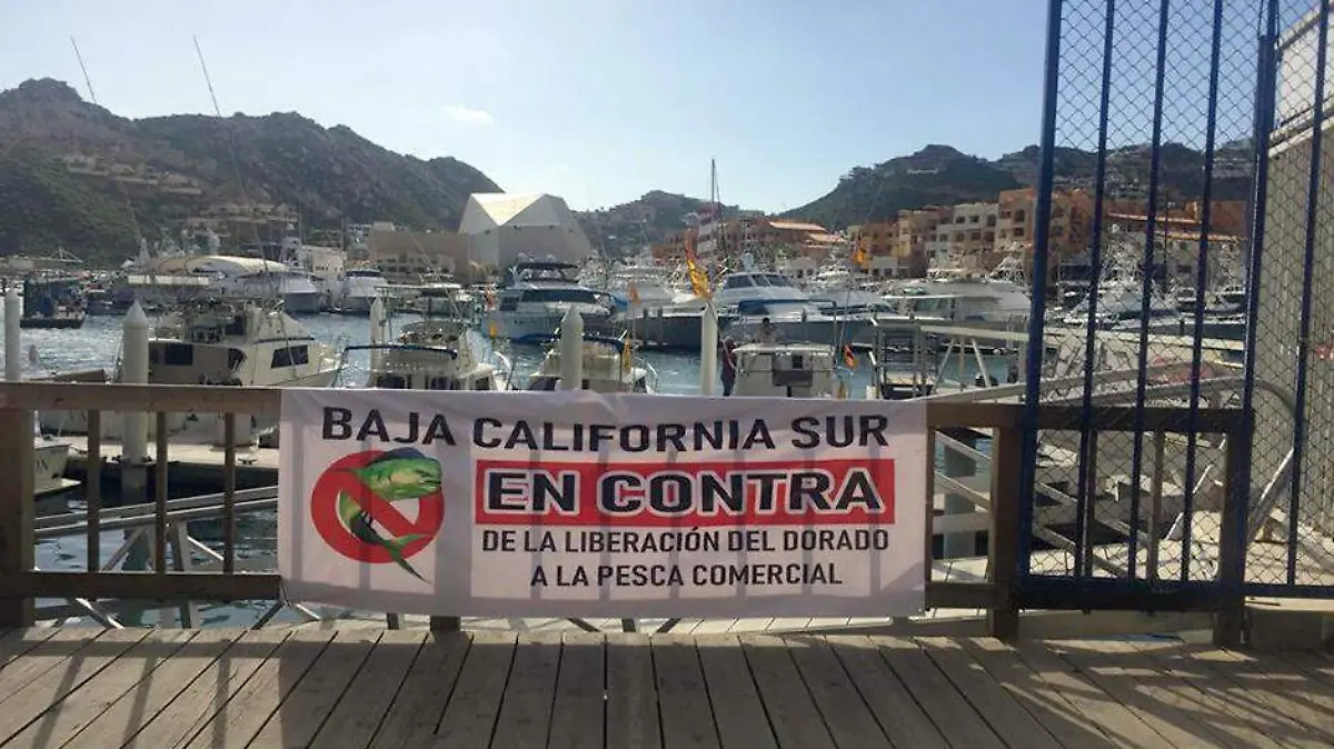 Manifestación