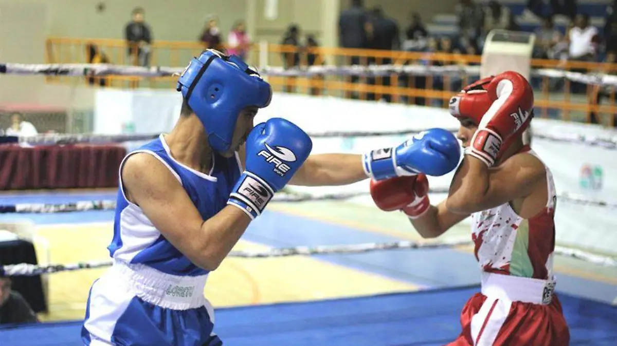 Boxeo