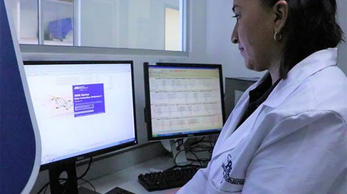Laboratorio