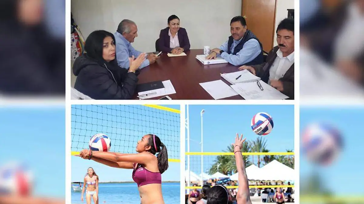 Voleibol