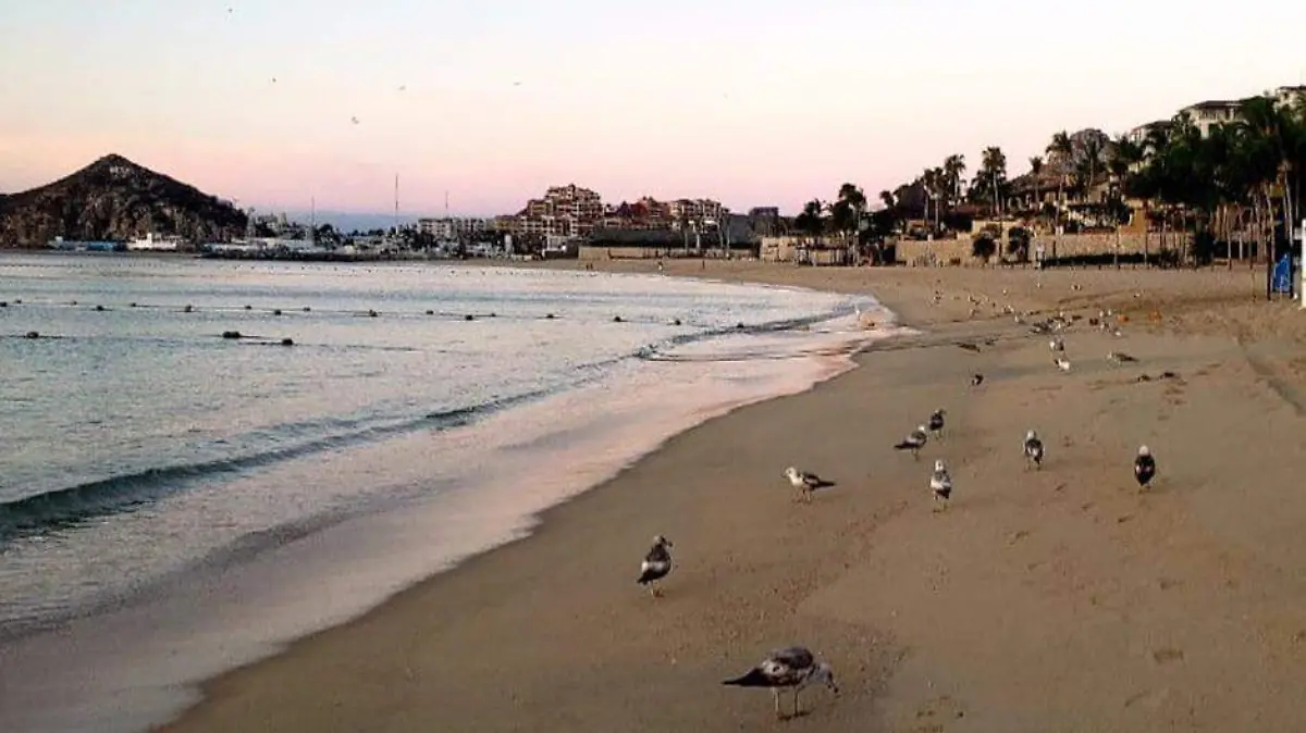 Playas de Los Cabos