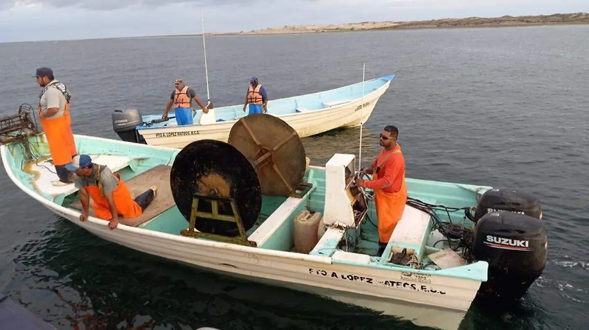 pesca