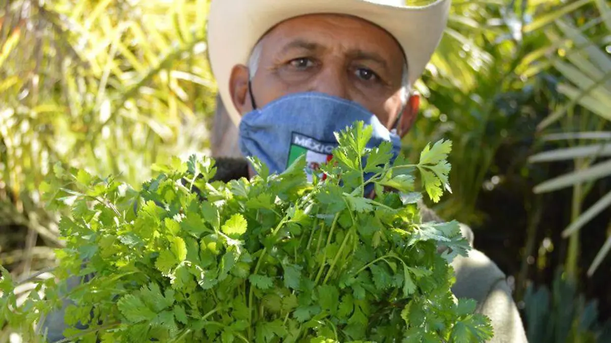productos del huerto familiar