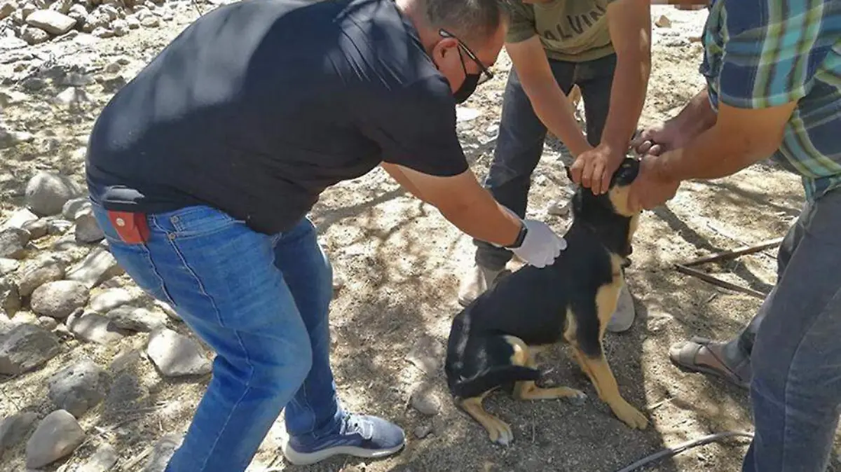 a6942812-9b79-4dc2-ae29-51105419745b