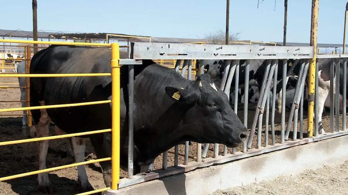 79c3c0a2-3c57-4e83-8b63-c37afff2deff