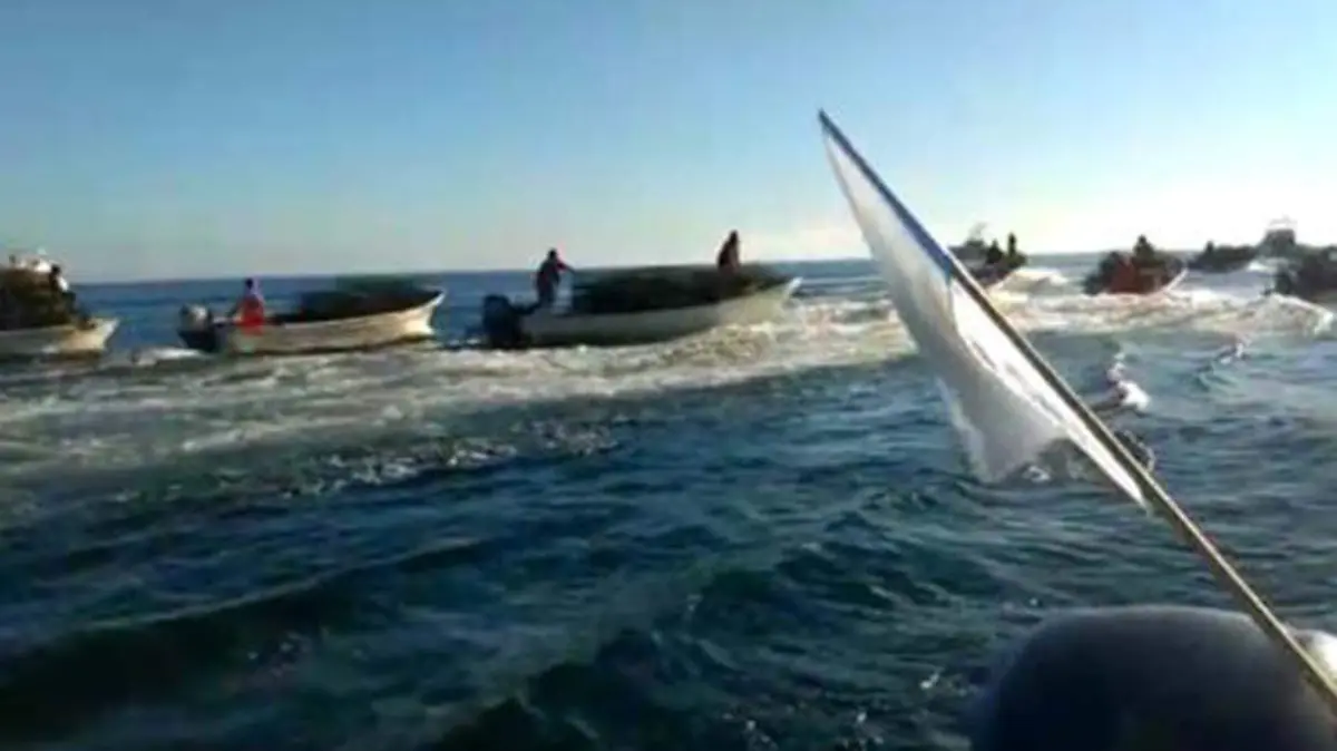 pesca 1