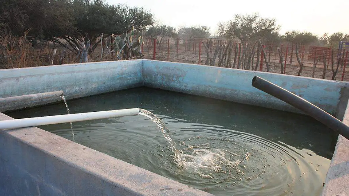 Agua