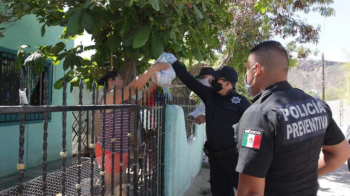 ayuntamiento despensas