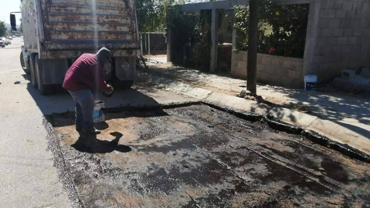 bacheo
