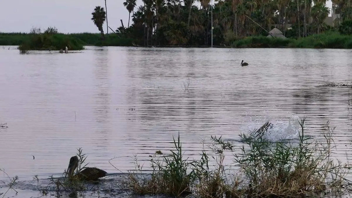 estero