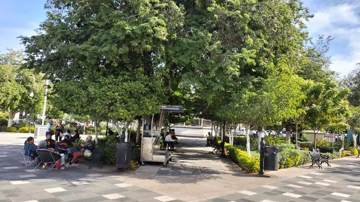 JARDIN VELASCO