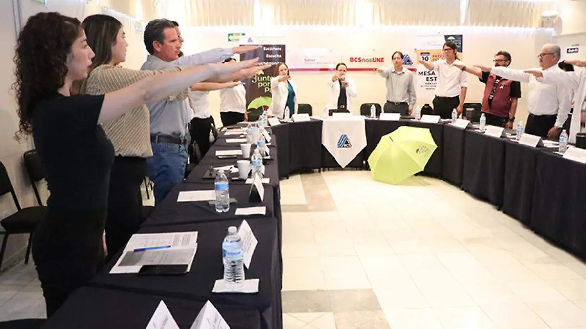 GOB SSA SALUD MENTAL