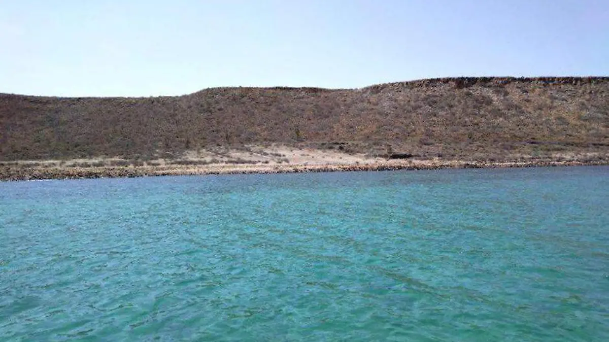 b53ed236-9bc6-4bd0-ba91-16dcdaad4a4c