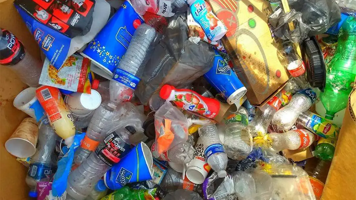 Basura 1