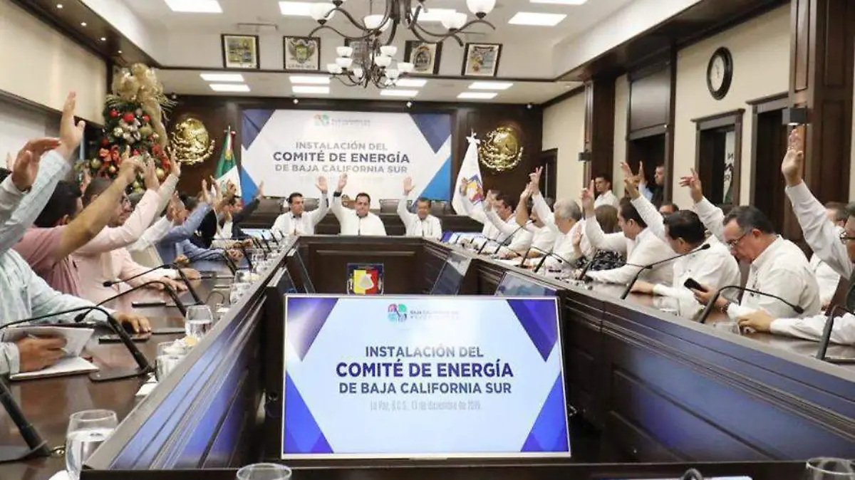 COMITÉ DE ENERGÍA GOBERNADOR