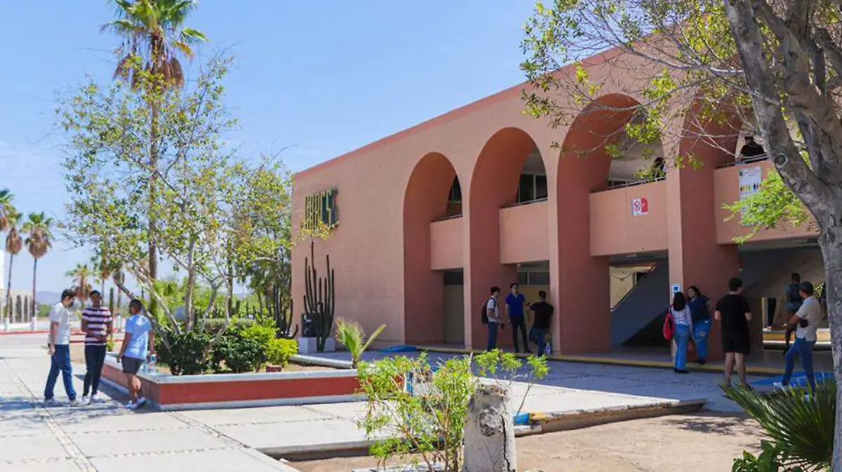 UABCS DOCENTES 2
