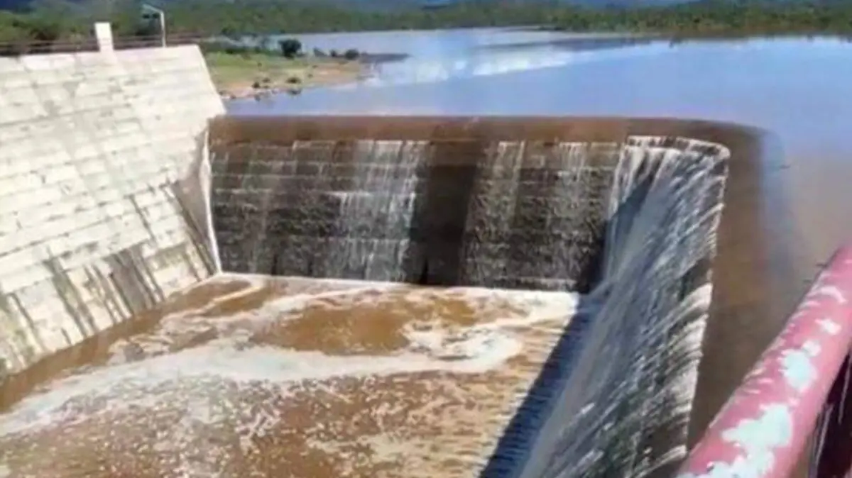 PRESA 6