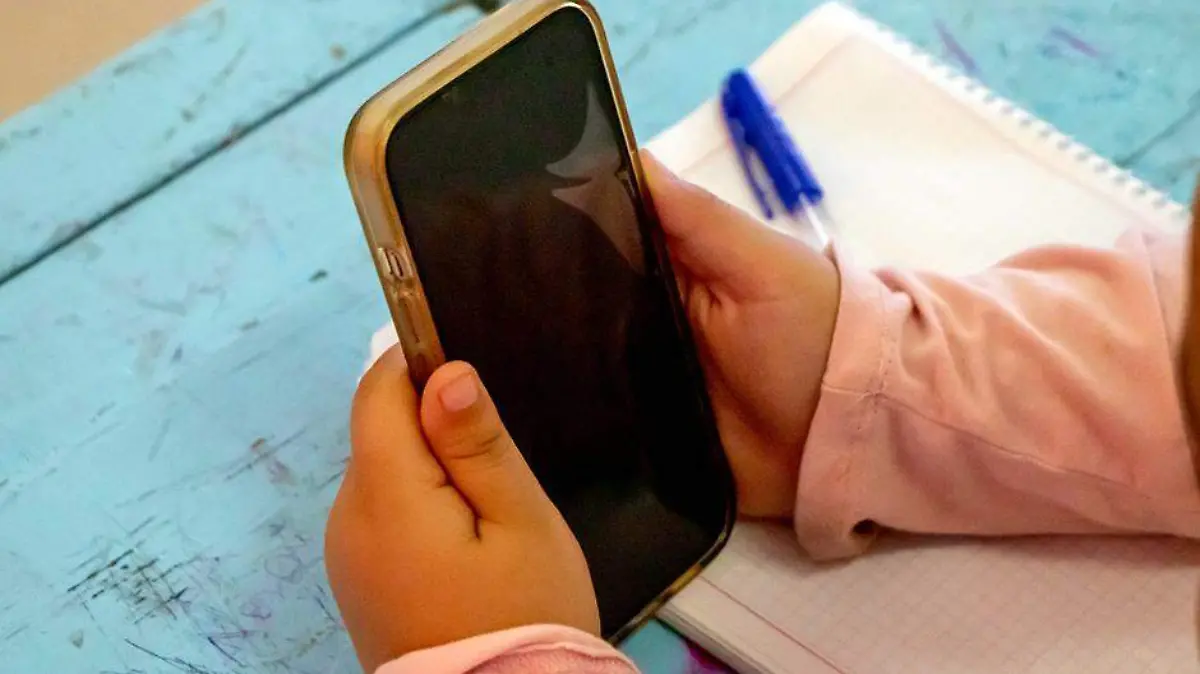 ESCUELAS CELULARES 2