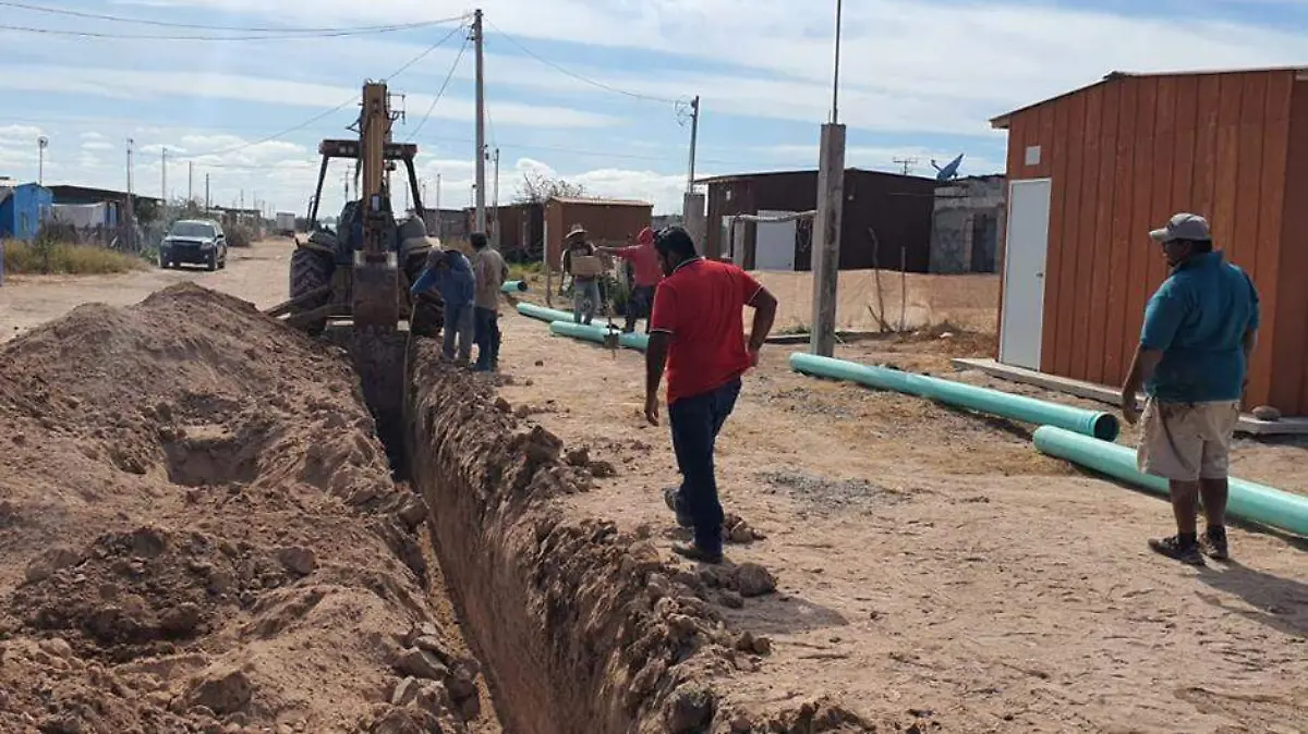 acbbc382-2e64-4137-acb6-bbc87ba31950