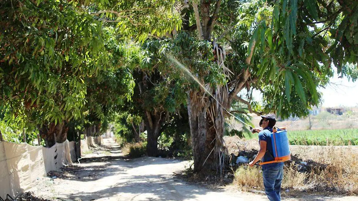 5f2ba0af-1a4d-4507-b943-c8895c63d7e9