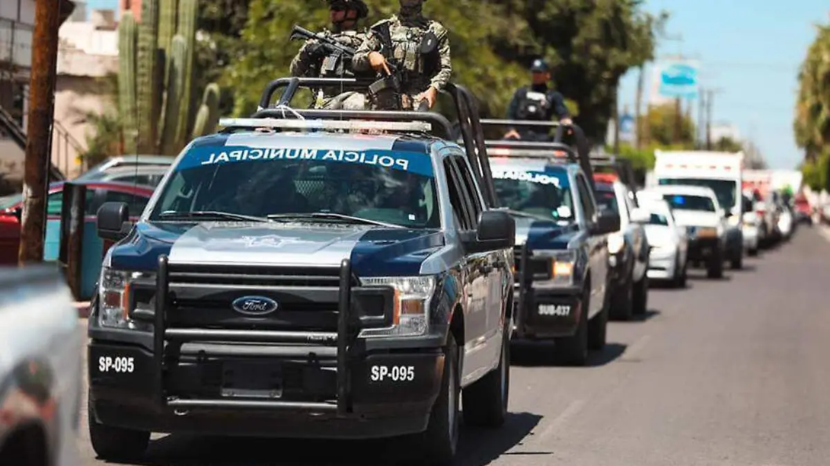 Los operativos
