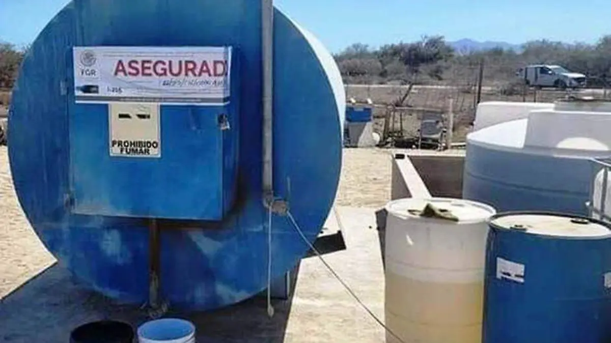 Aseguran