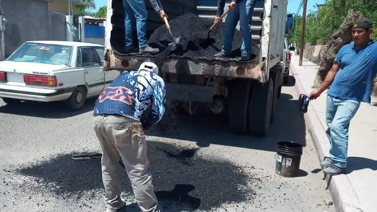 PROGRAMA BACHEO
