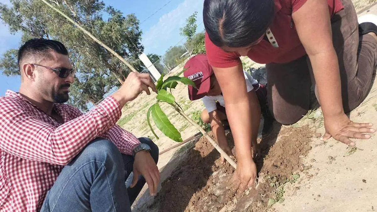 REFORESTACION JARDIN