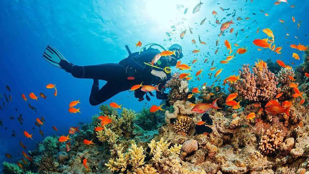 TURISMO SUSTENTABLE