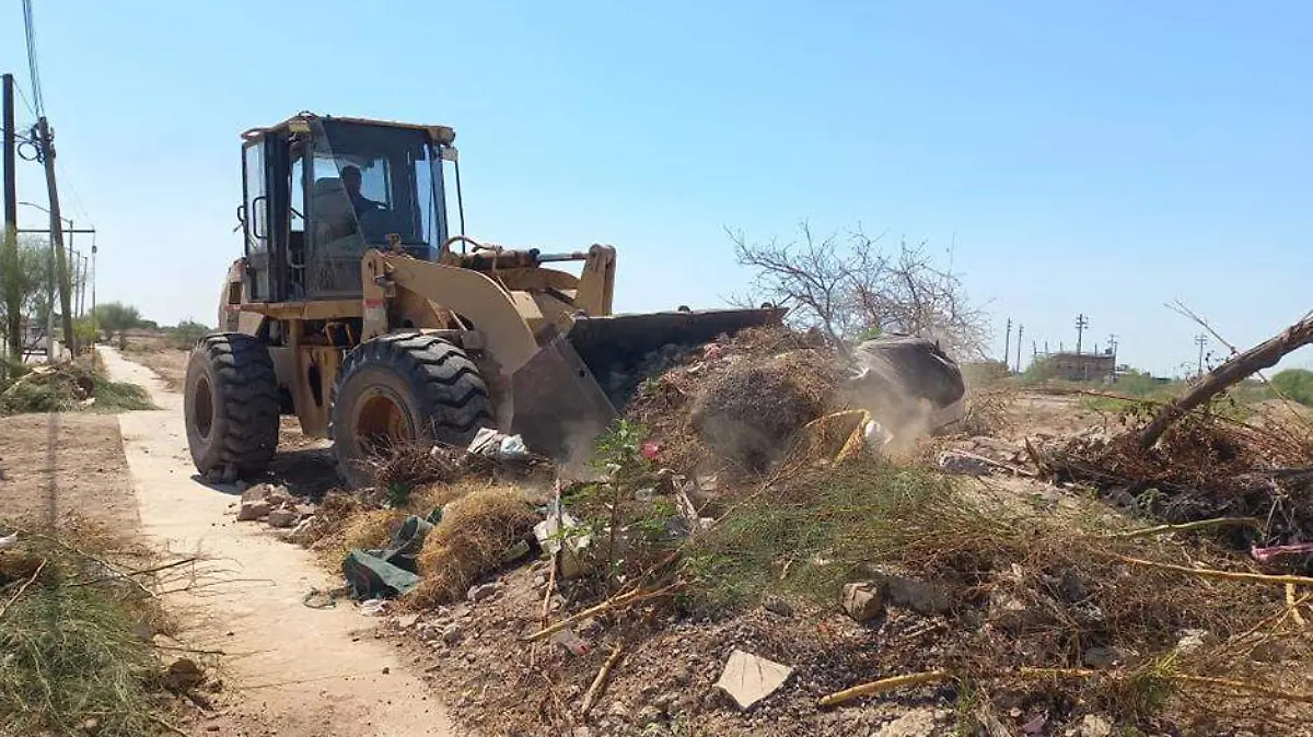 MANTENIMIENTO DE CAMPOS DEPORTIVOS