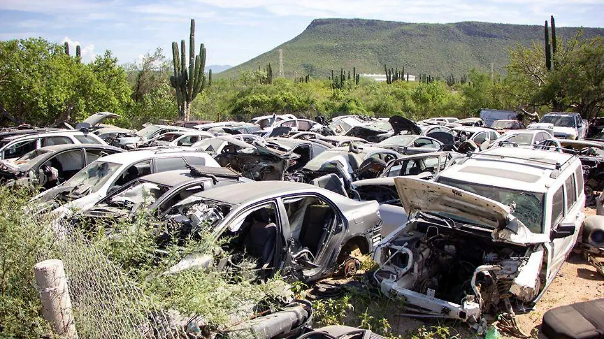 SUBASTA FOCO PORTADA