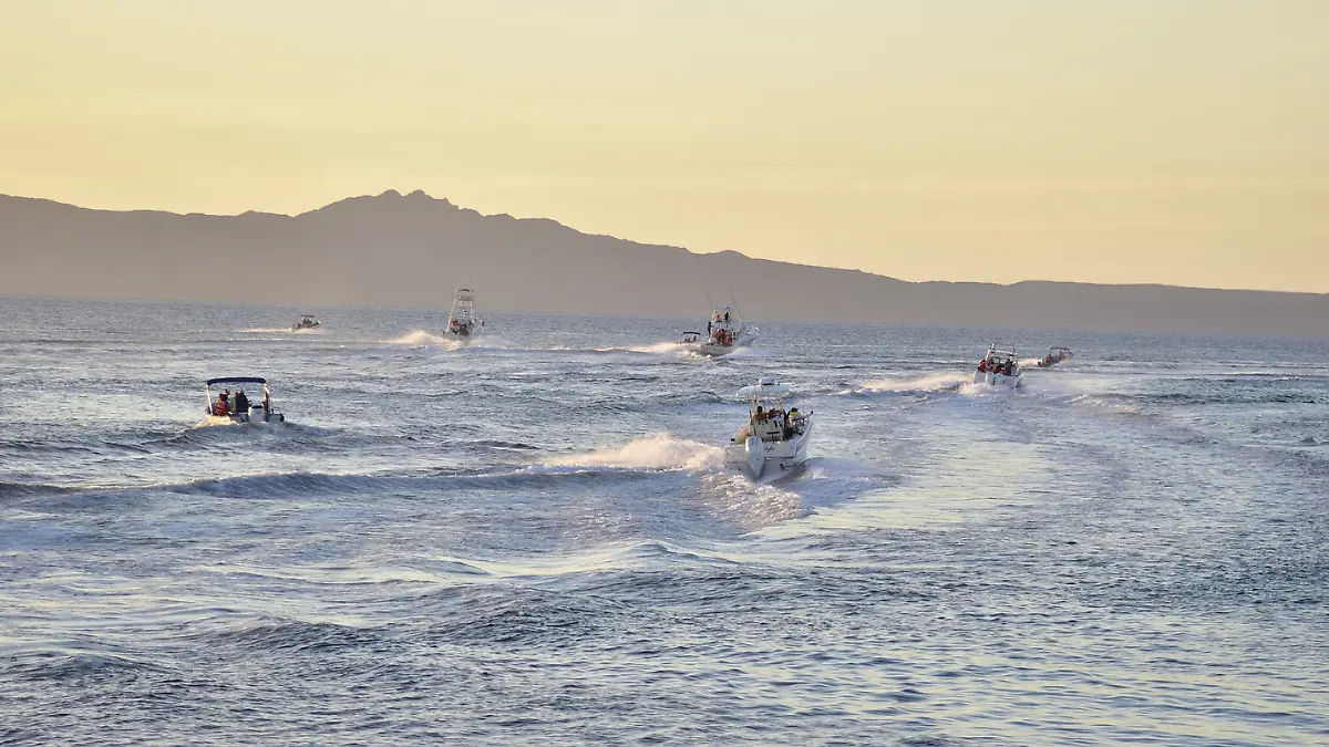 pesca